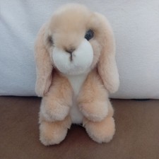 Wilberry Mini Lop eared Bunny