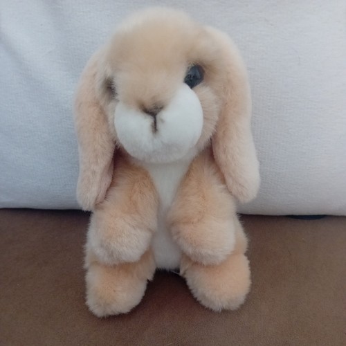 Wilberry mini lop eared - wilberry,