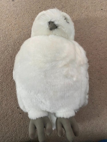 Hedwig puppet from the making - hedwig,