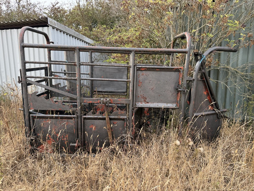 Old used steel - used, cattle