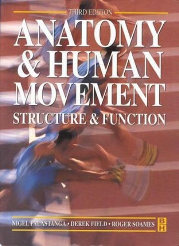 Anatomy and human - and, movement