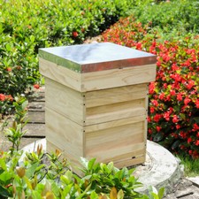 National UK Beehive Box Beekeeping Honey Solid Wood Super &Brood Bee Hive Frames