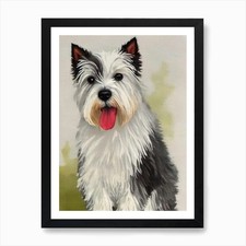 West Highland White Terrier 3