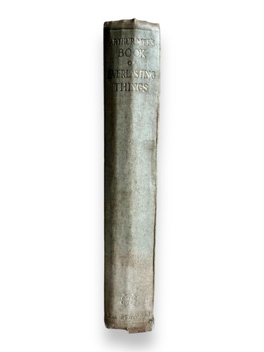 Vintage book everlasting - book,