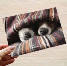 Jack Russell Dog Birthday Card