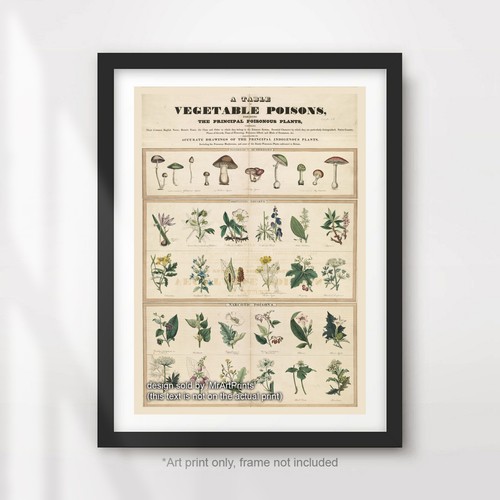 Vintage poisons chart art - vintage,