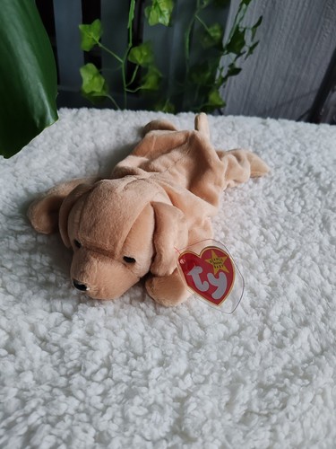 Beanie baby fetch - beanie,