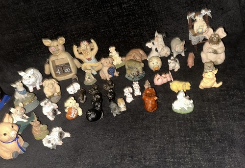 Large collection pig - collection,