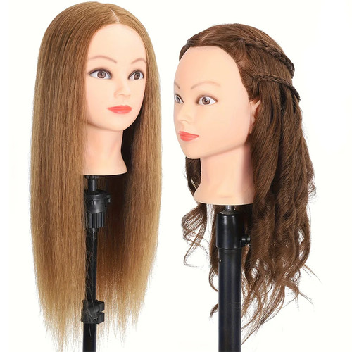 Training mannequin head human - training,
