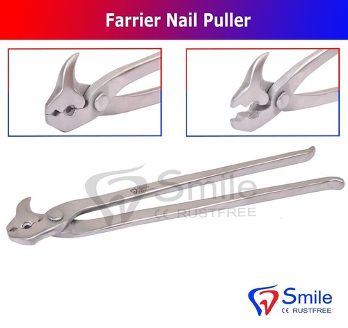 Farriers tools farrier nail - tools,