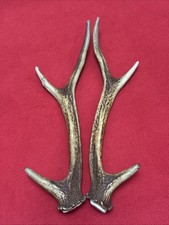 PAIR OF SIKA DEER ANTLERS 207g.   aprox. 29/29,5cm.