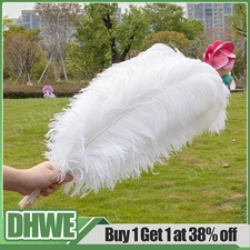 10X Large Ostrich Feathers