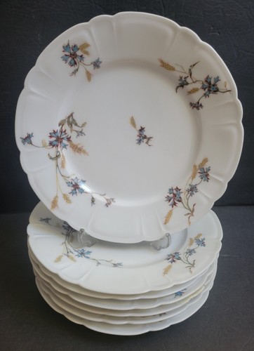 Set haviland limoges - of,