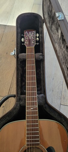 Alvarez acoustic guitar - alvarez,