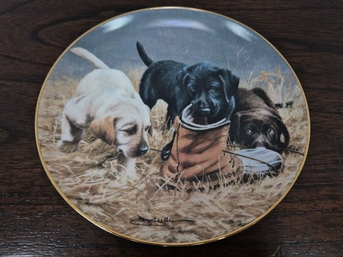 Franklin mint labrador plate - mint,