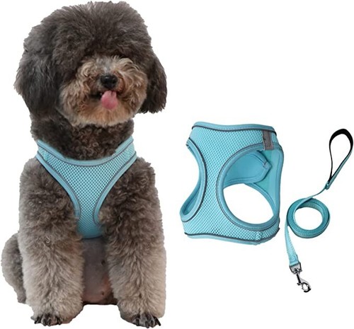 Dog puppy pet adjustable - dog,