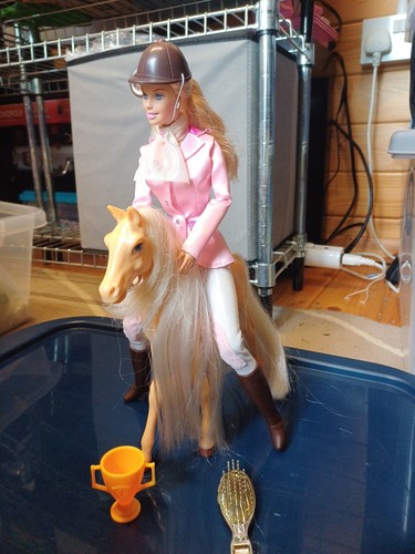 Vintage barbie styling stable - vintage,