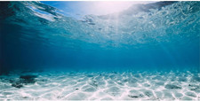 48X24 Inches Vinyl Undersea