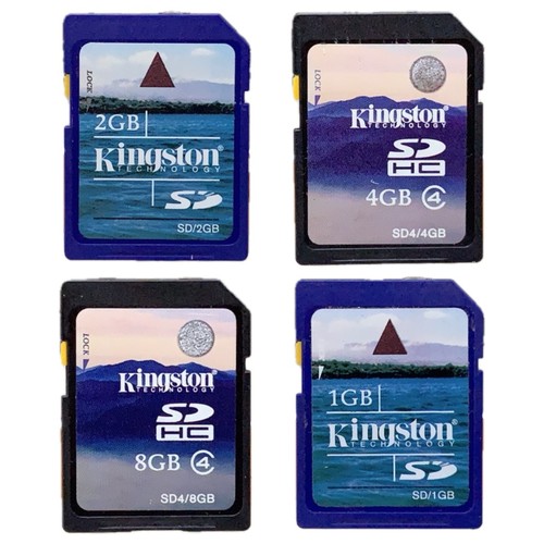 Kingston card 4g - card, 1g/2g/4g/8gb