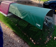 Omlet Eglu Pink Go Guinea Pig