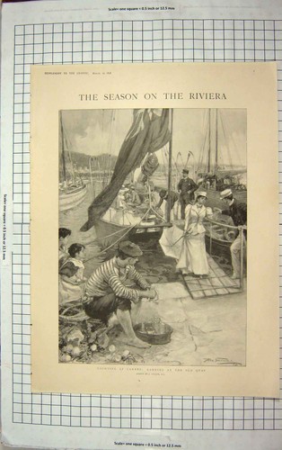 Old antique print - print, 1898