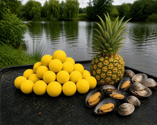 Shellfish and pineapple pop - , up