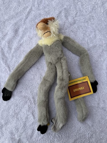 Wild republic proboscis monkey - wild,