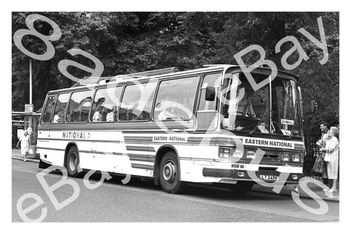 Bus photograph eastern - photograph,
