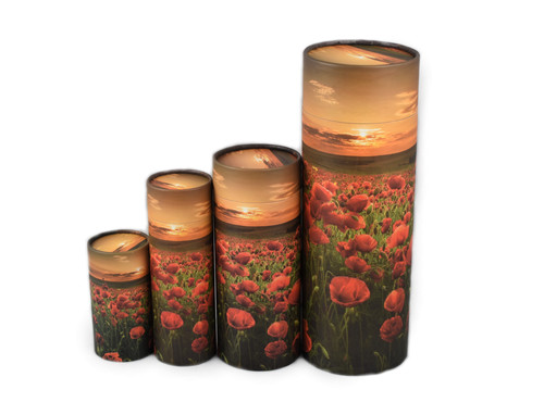 Scatter tube urn for ashes - scatter,