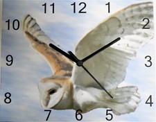 barn owl wall hanging clock