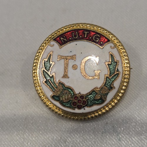 Vintage nutg enamel - vintage, badge