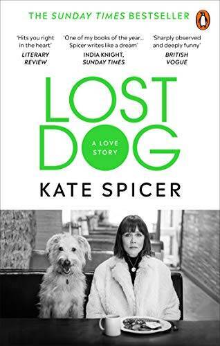 Lost dog paperback - lost,