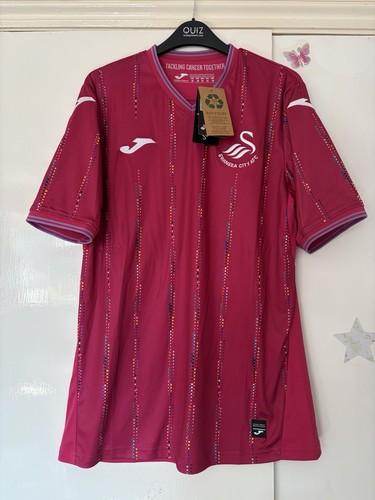 Swansea city 2023 - swansea, 2023/24