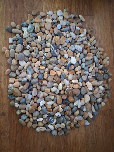 1kg small sea - small,