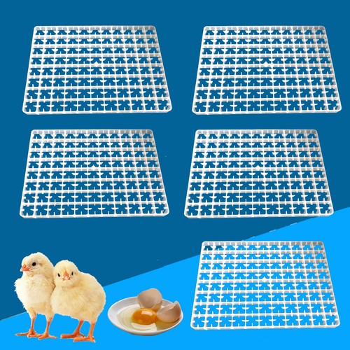 Egg hatching incubator - 5*egg,