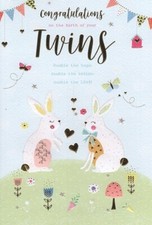 New Baby Twins Birth