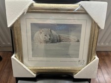 stephen gayford limited