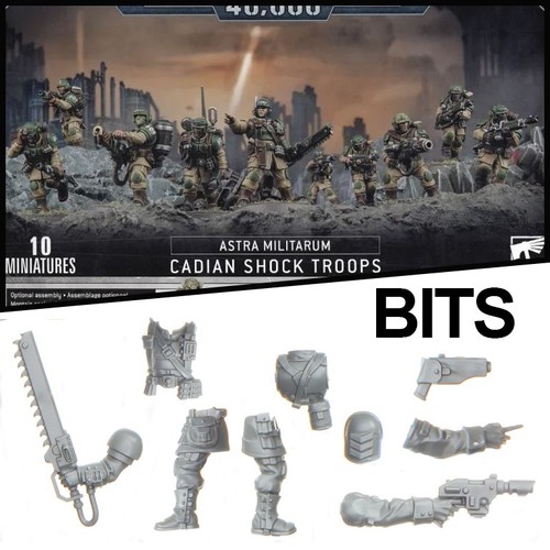 Cadian shock troops 2022 - troops,