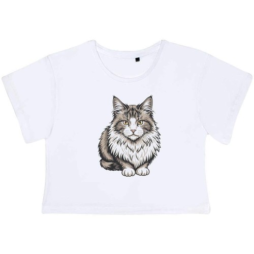 Norwegian forest cat - forest, cat'