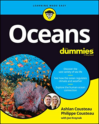 Oceans for dummies - oceans,