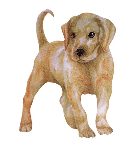 Golden labrador puppy plaque - golden,