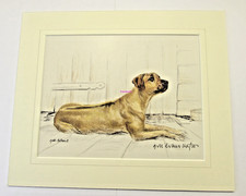 Rhodesian Ridgeback by Gill