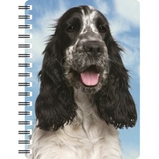 Cocker Spaniel Blue Roan 3D