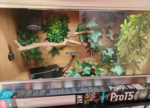3ft vivarium set new - up, t5