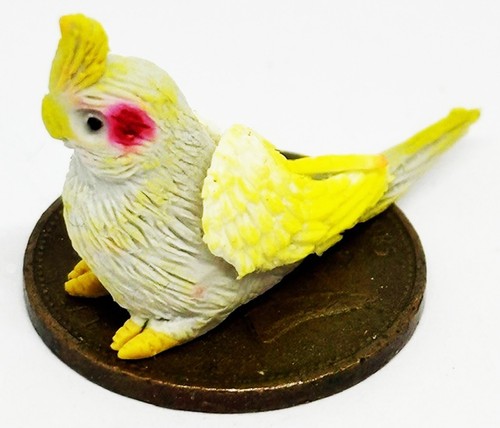 Dolls house grey cockatoo - house,