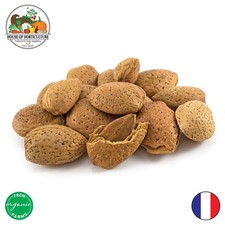 Fresh Whole Almonds in Shell