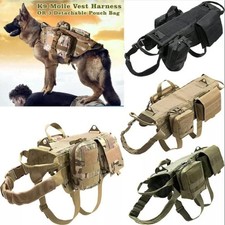 Tactical Dog Hunting Training