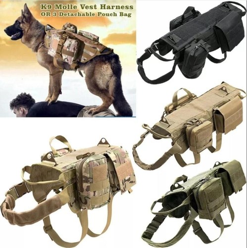 Tactical dog hunting - hunting, training
