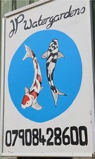 Japanese Koi Carp Shop