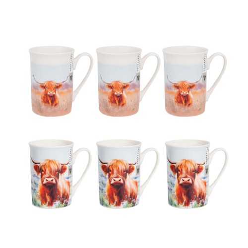Highland cow coffee mug 6pcs - cow,